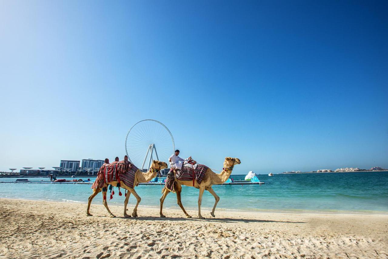 Wonderful Apartment Near The Beach Sadaf Jbr Dubái Exterior foto